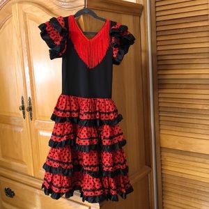 Halloween/Dress-up Costume